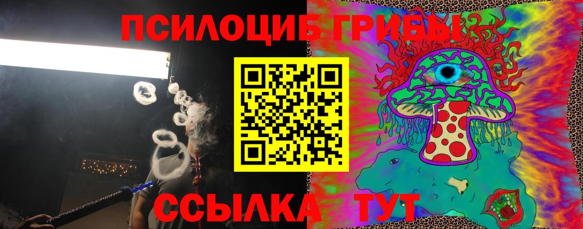 Псилоцибиновые грибы прущие грибы Ростов Великий
